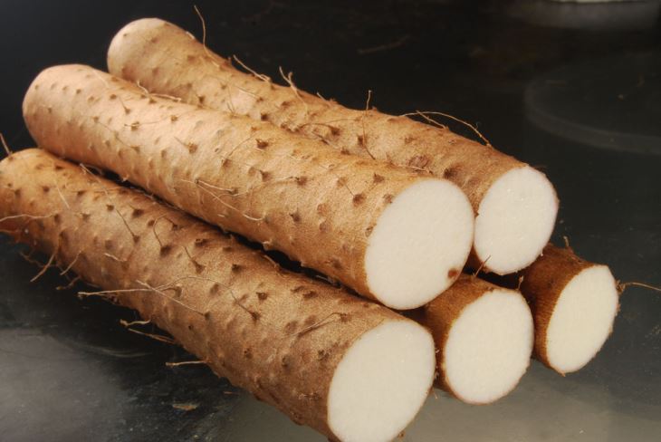 Wild Yam pulver