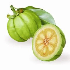 garcinia cambogia