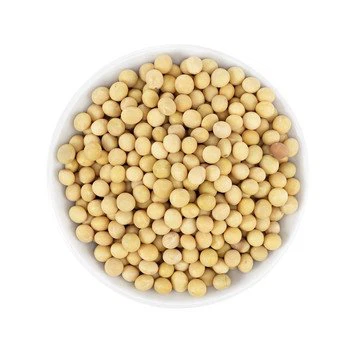 soybean
