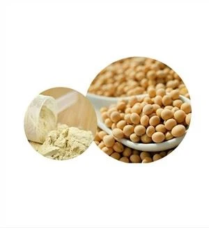 Ekologiskt sojaprotein