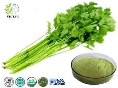Selleri juice pulver