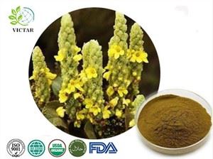 Mullein extrakt