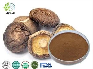 Shiitake Svamp Utdrag