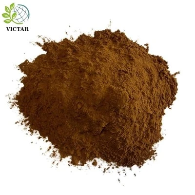 Chaga svamppulver